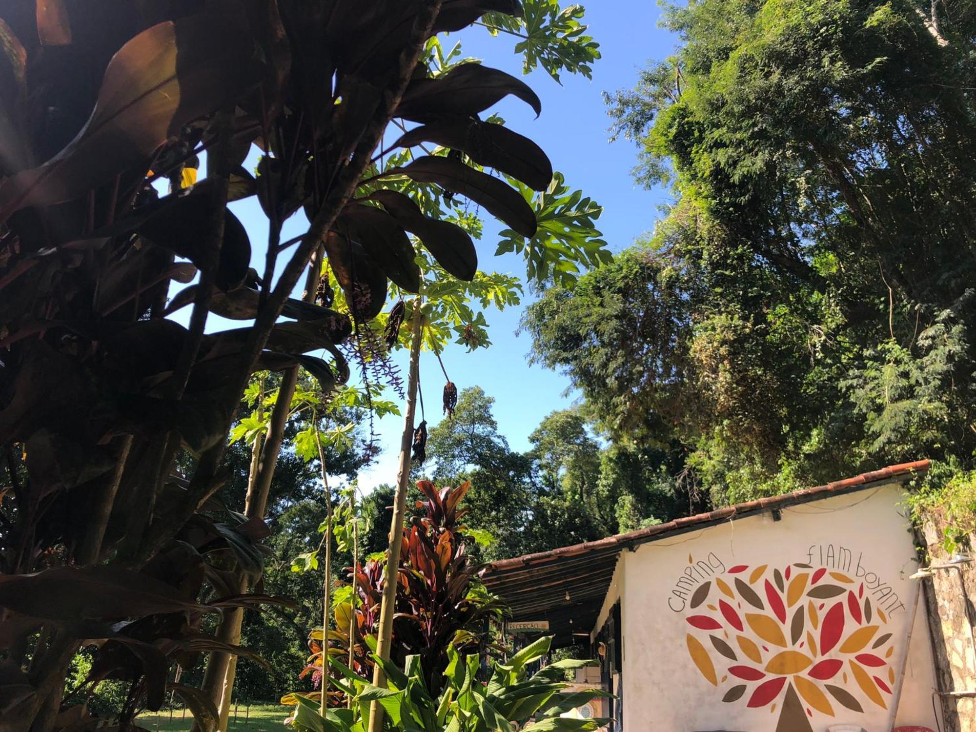 Camping Flamboyant Hotel Ilhabela Ngoại thất bức ảnh